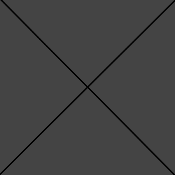 bruin bears having a good time